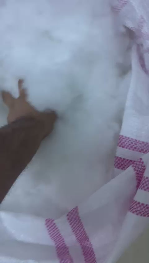 CORNY SNOW